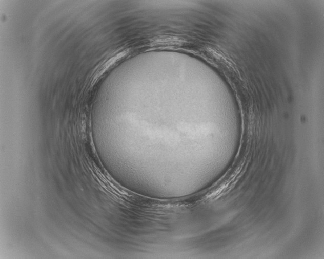 X0000057581401200510171656