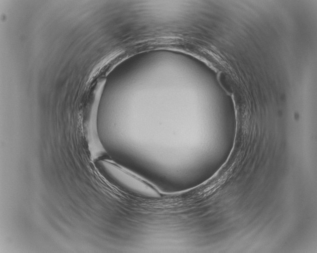 X0000057581402200510171656