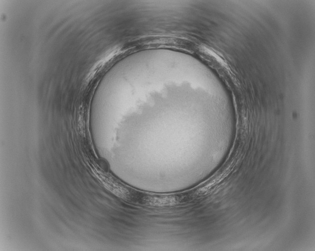 X0000057581403200510171656