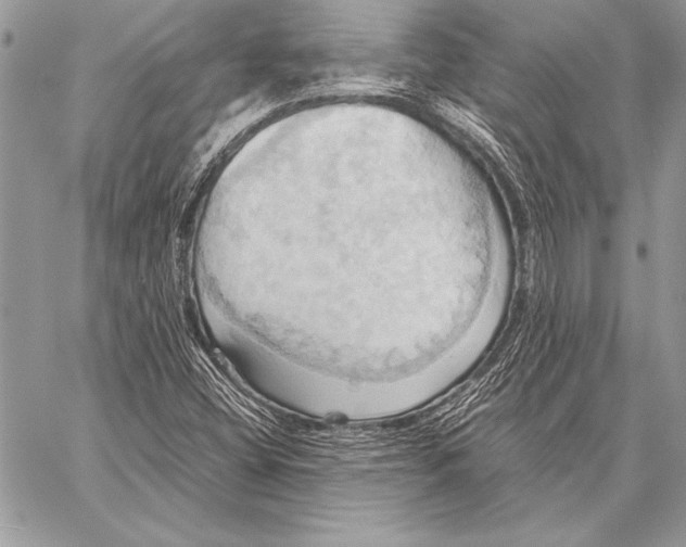 X0000057581404200510171656