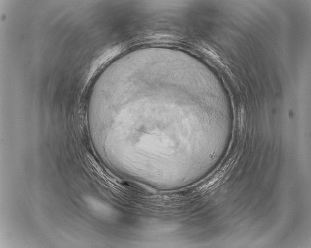 X0000057581405200510171656