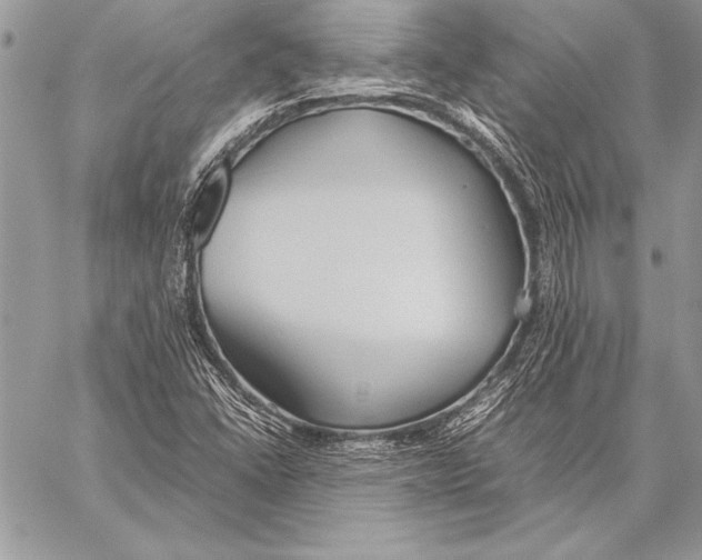 X0000057581406200510171656