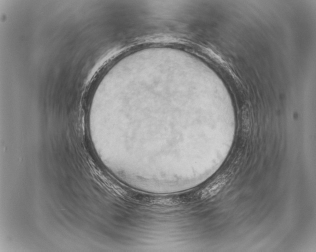 X0000057581408200510171656