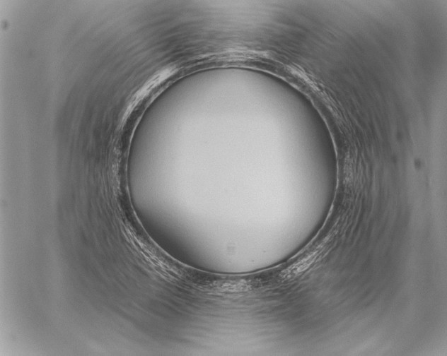 X0000057581410200510171656