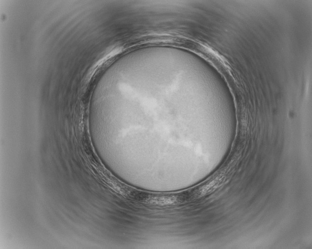 X0000057581411200510171656