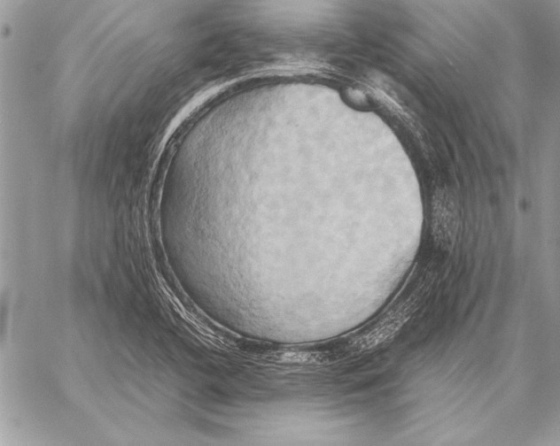 X0000057581412200510171656