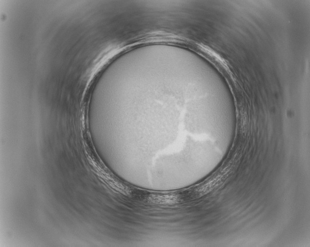 X0000057581415200510171656