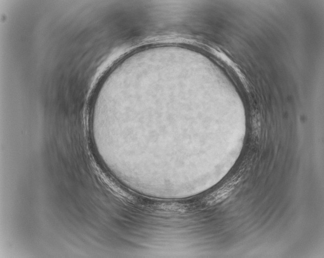 X0000057581416200510171656