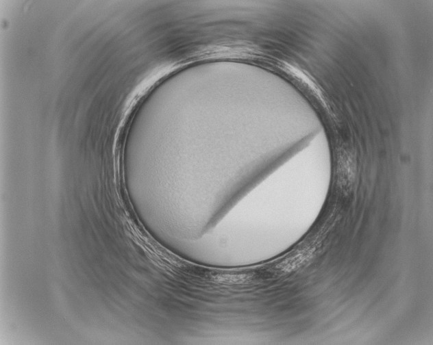 X0000057581419200510171656