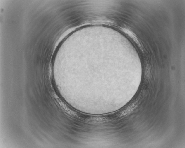 X0000057581420200510171656