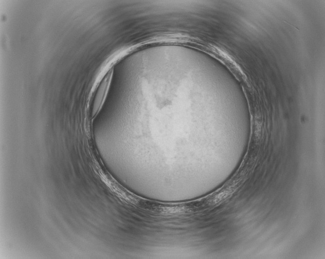 X0000057581421200510171656