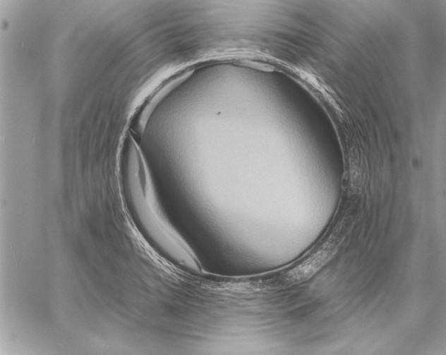 X0000057581422200510171656