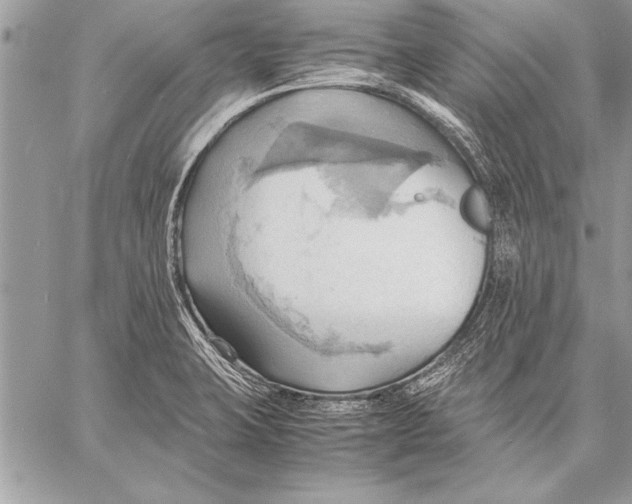 X0000057581423200510171656