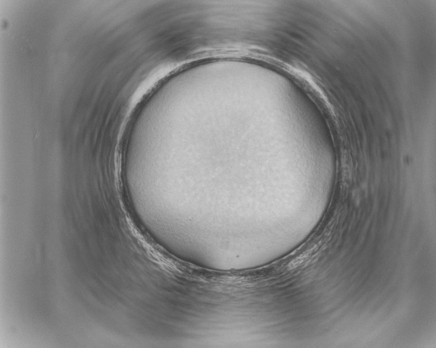 X0000057581424200510171656