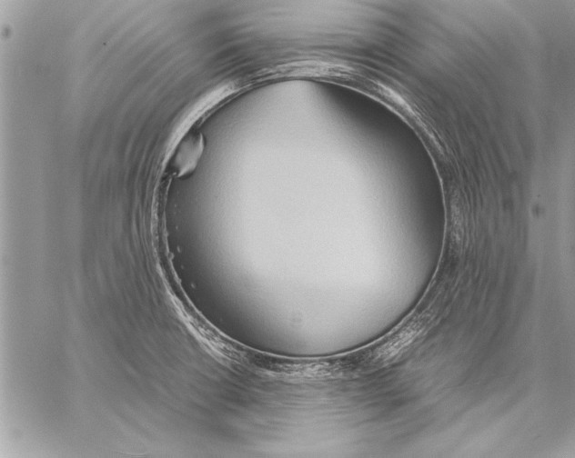 X0000057581426200510171656