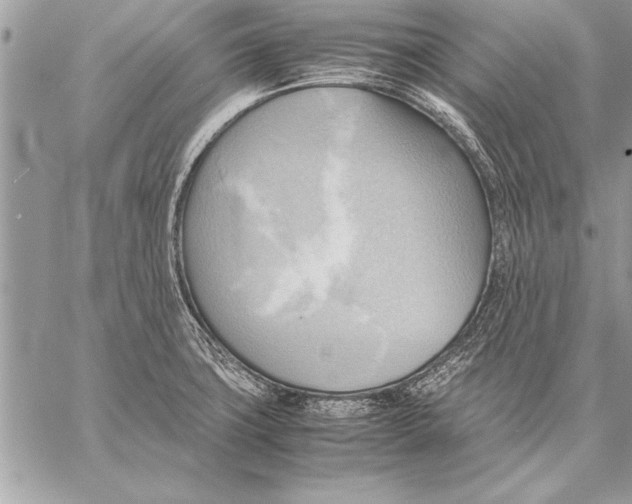 X0000057581427200510171656