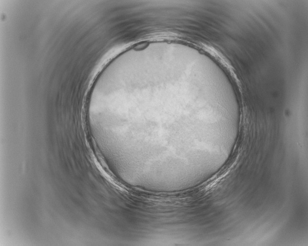 X0000057581429200510171656