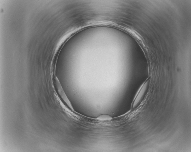 X0000057581430200510171656