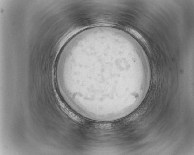 X0000057581431200510171656