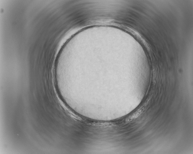 X0000057581432200510171656