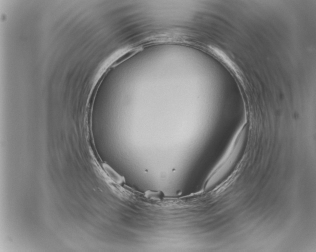 X0000057581434200510171656