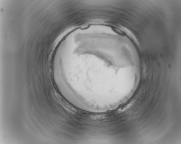 X0000057581435200510171656