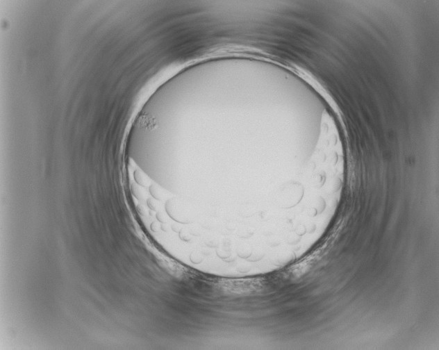 X0000057581437200510171656