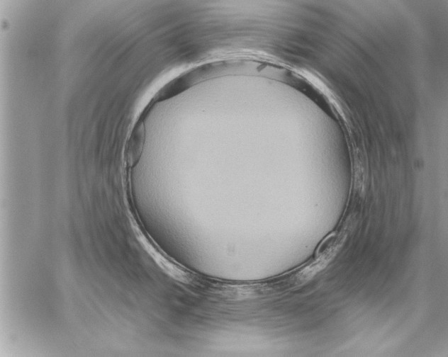 X0000057581438200510171656