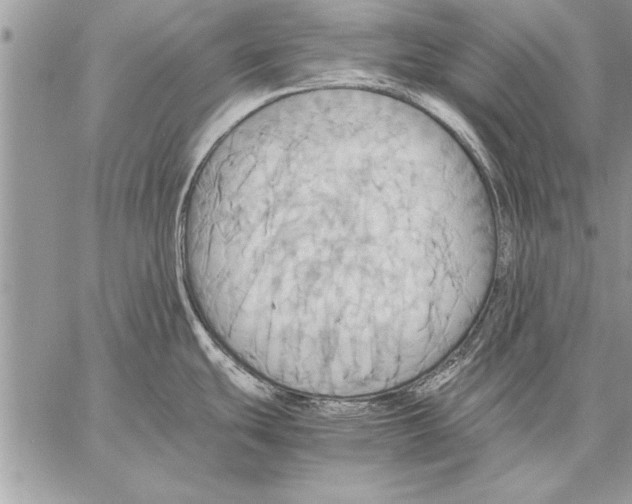 X0000057581439200510171656