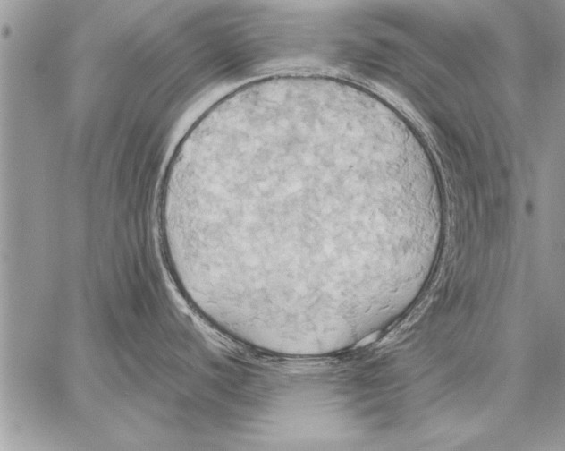 X0000057581440200510171656