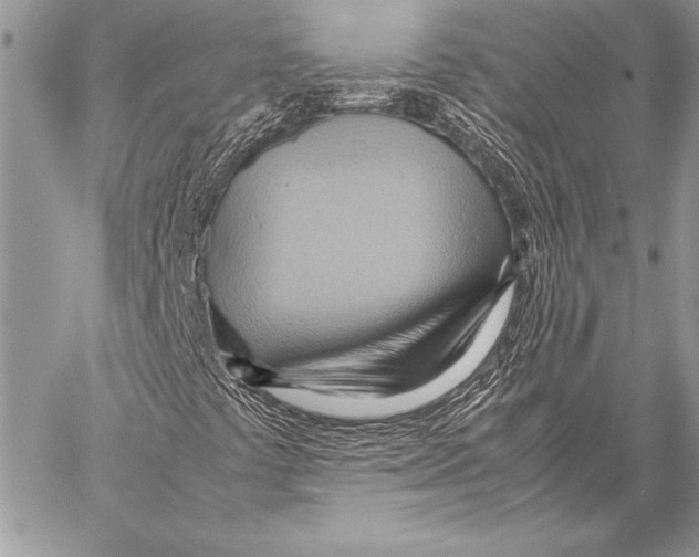 X0000057581441200510171656