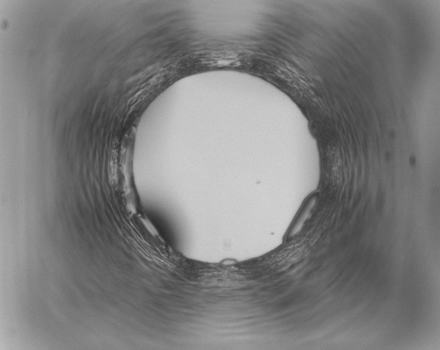 X0000057581442200510171656