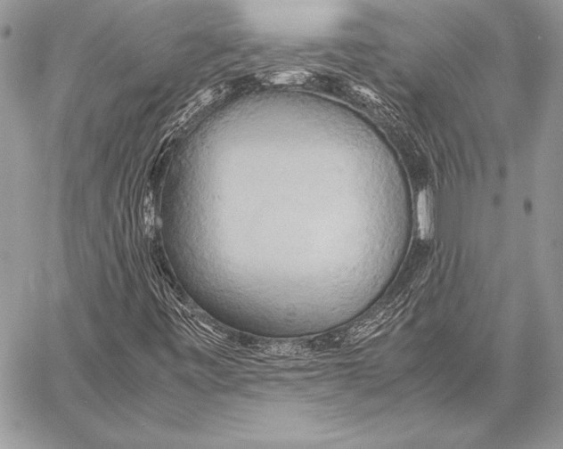 X0000057581443200510171656