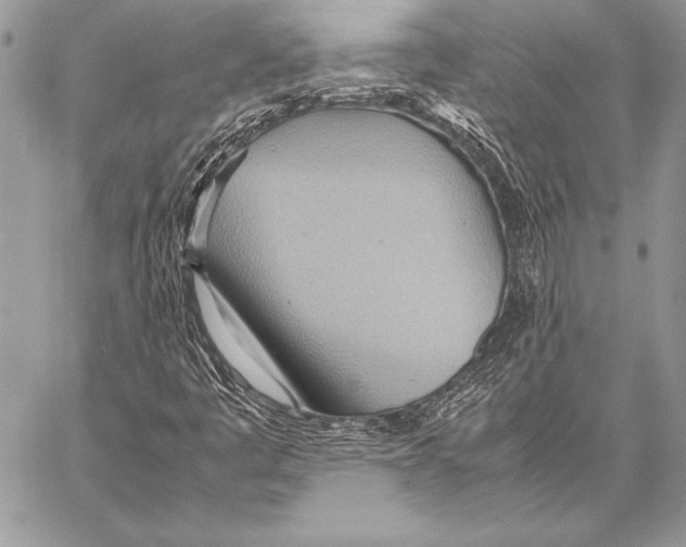 X0000057581445200510171656