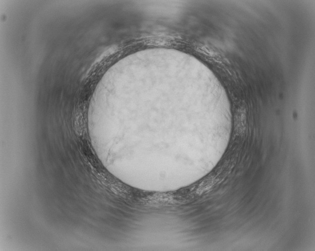 X0000057581446200510171656