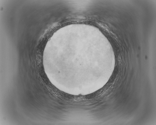 X0000057581447200510171656