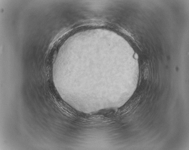 X0000057581448200510171656