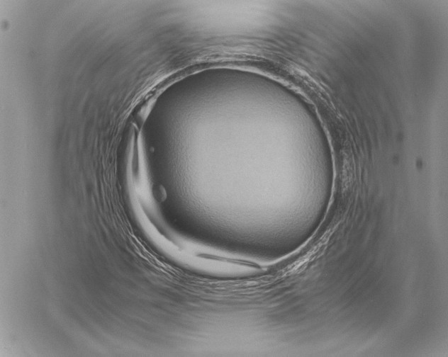 X0000057581449200510171656