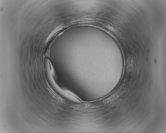 X0000057581450200510171656