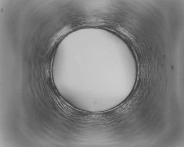 X0000057581451200510171656