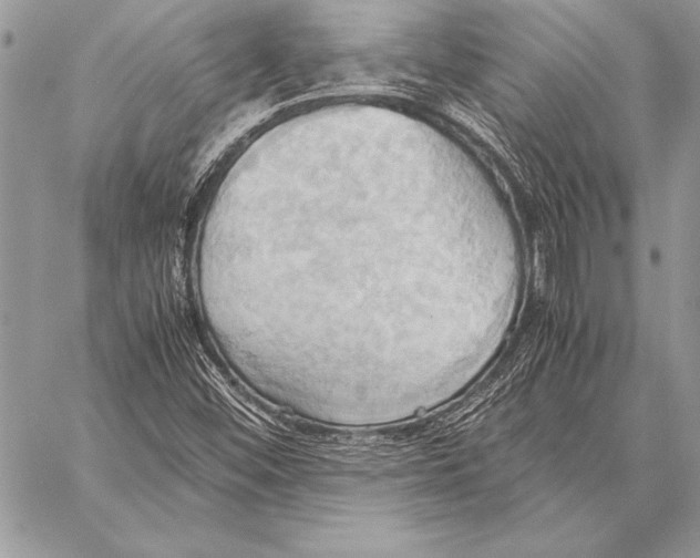 X0000057581452200510171656