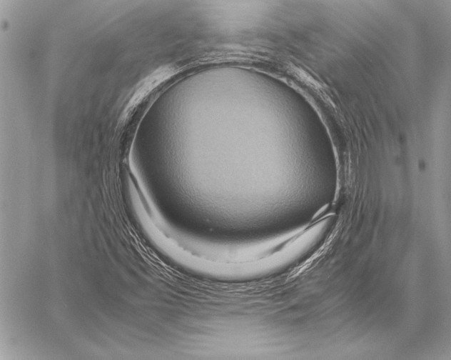 X0000057581453200510171656