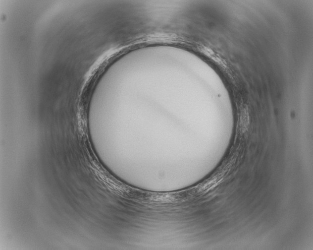 X0000057581454200510171656