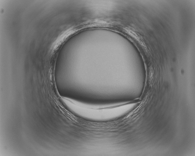 X0000057581455200510171655