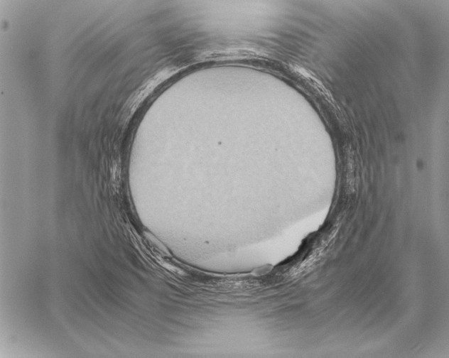 X0000057581457200510171655