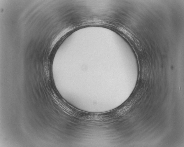 X0000057581458200510171655