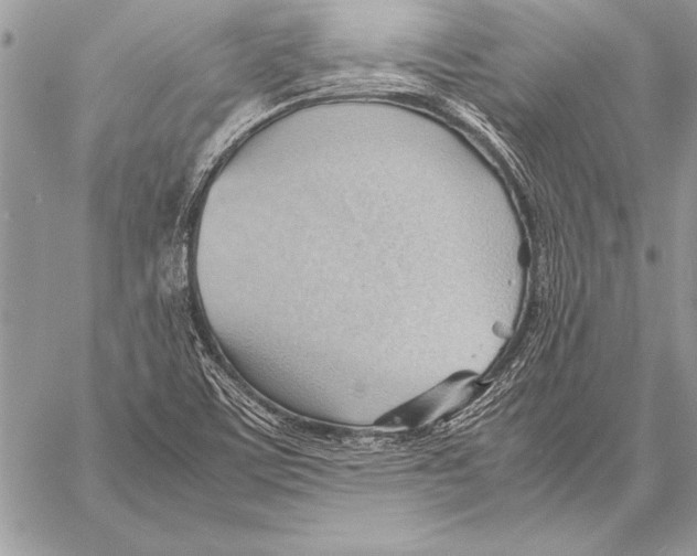 X0000057581459200510171655