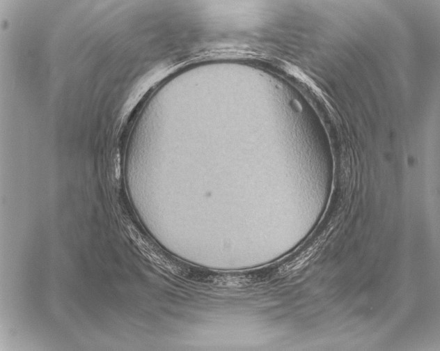 X0000057581461200510171655