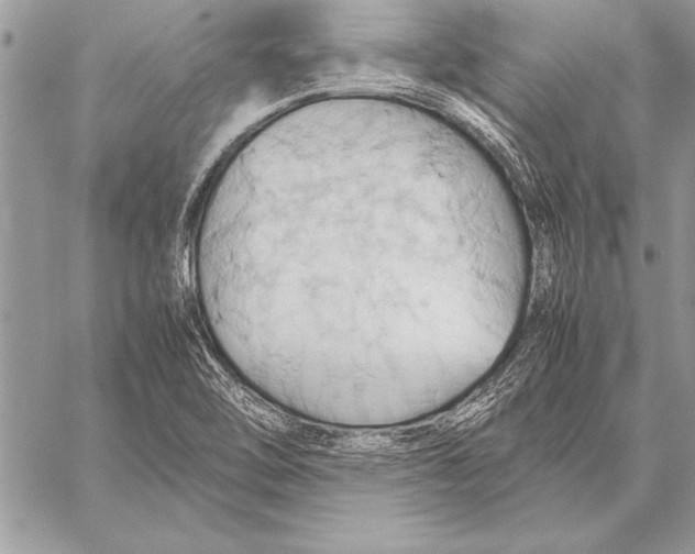 X0000057581462200510171655