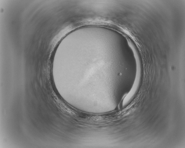 X0000057581463200510171655